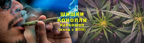 ешки Арсеньев