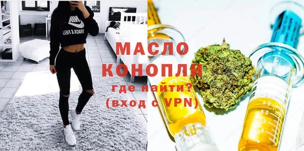 дживик Краснослободск