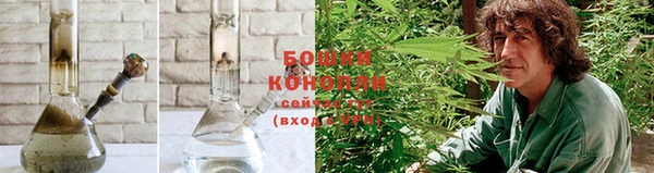 ешки Арсеньев