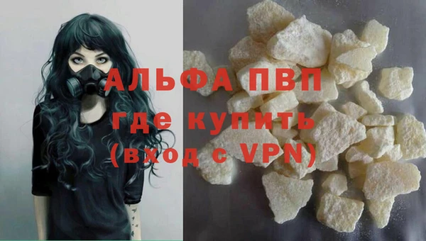 ешки Арсеньев