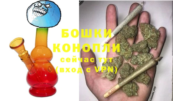 стаф Балахна
